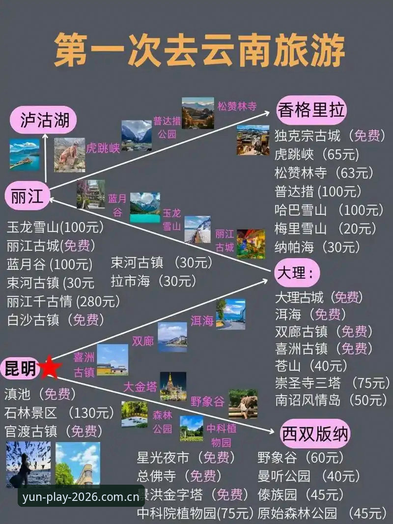 云体育下载链接教程 云体育官网入口 vs APP下载:2026新版选择攻略,哪条路径更高效?